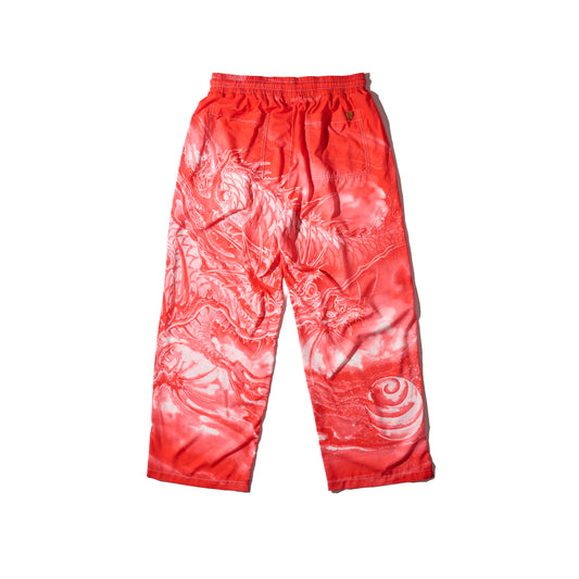 GRS x Dust Wu Overprint Pants / AKA RYU