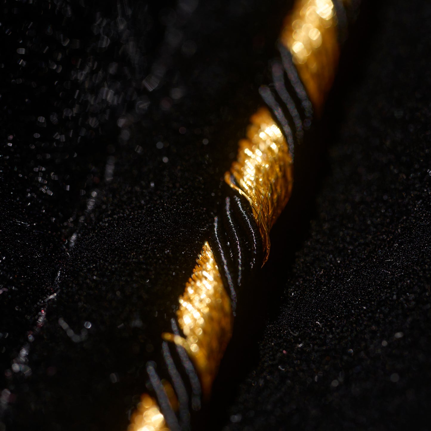 Velvet Dragon Tracksuit Set / Black