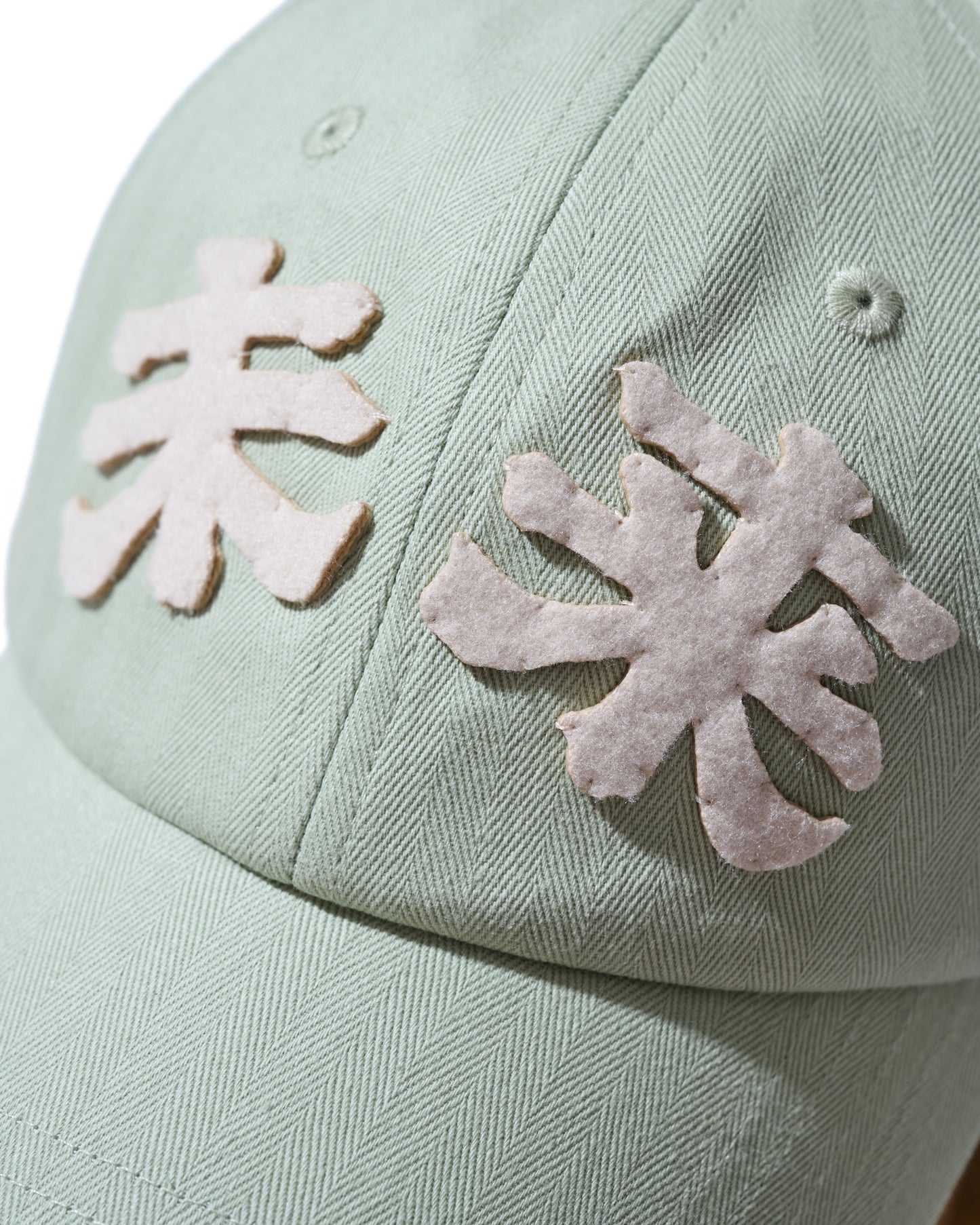 《我所看見的未來》Herringbone "Future" Cap