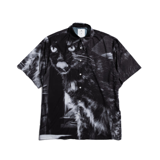 Photo All-Over Print S/S Big Shirt Boxset | A Homeless Cat