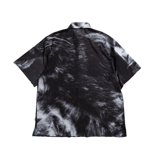 Photo All-Over Print S/S Big Shirt Boxset | A Homeless Cat