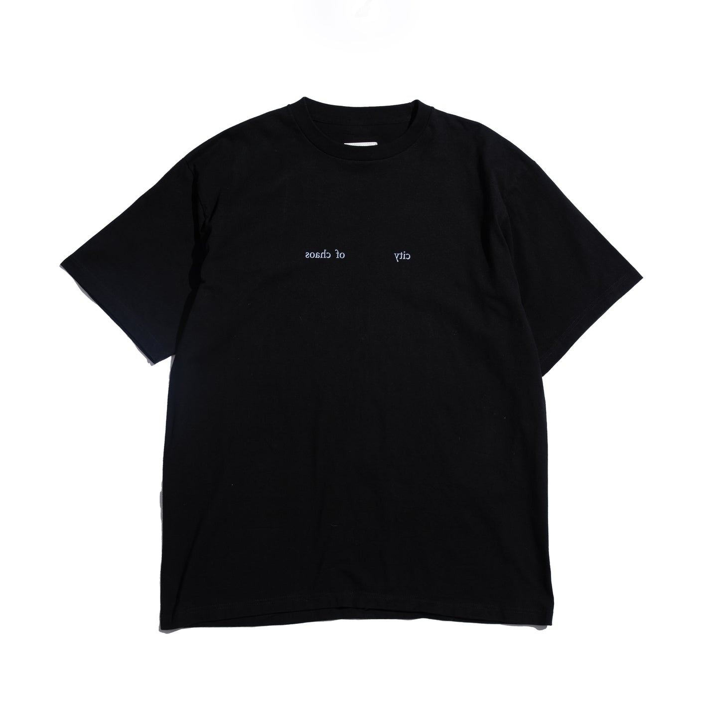Photo Print S/S Big Tee | A Homeless Cat