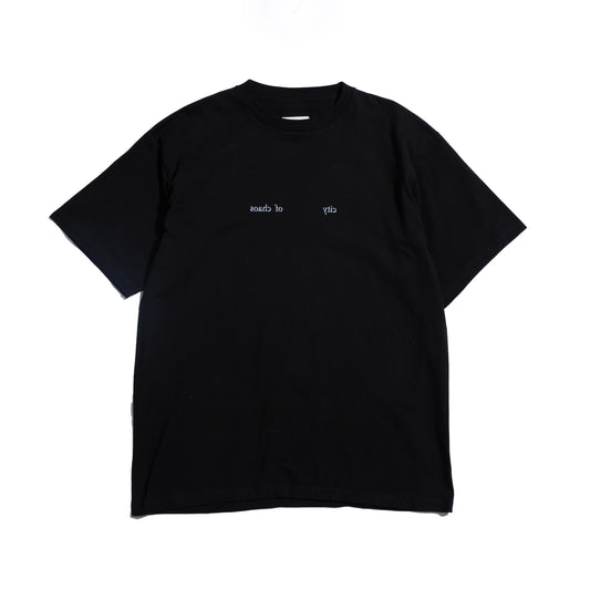 Photo Print S/S Big Tee | A Homeless Cat