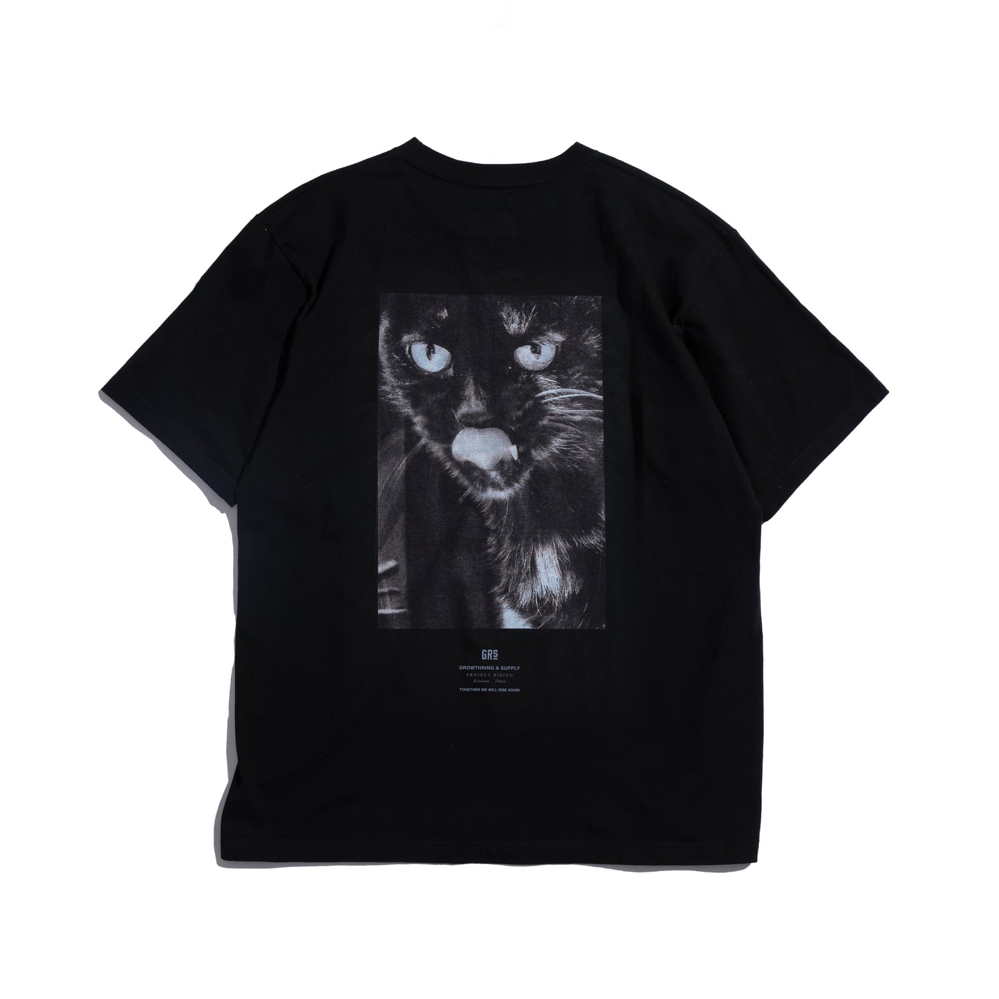 Photo Print S/S Big Tee | A Homeless Cat