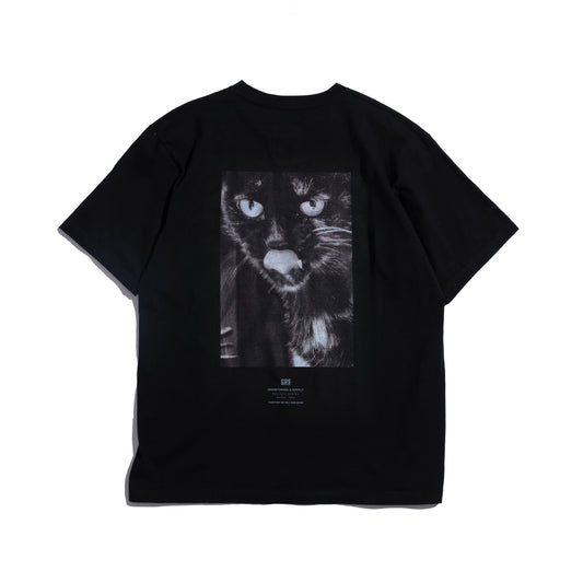 Photo Print S/S Big Tee | A Homeless Cat