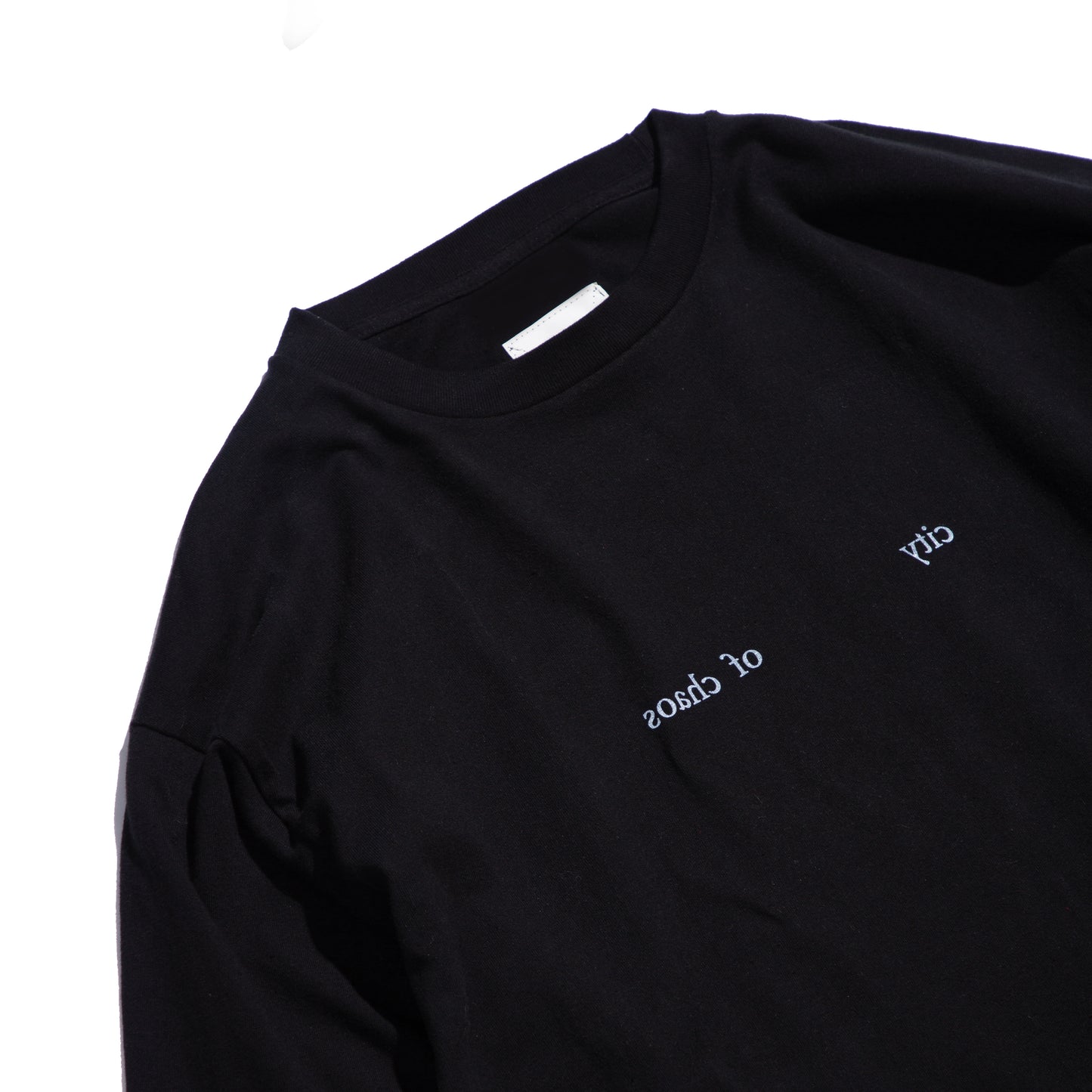 Photo Print S/S Big Tee | A Homeless Cat