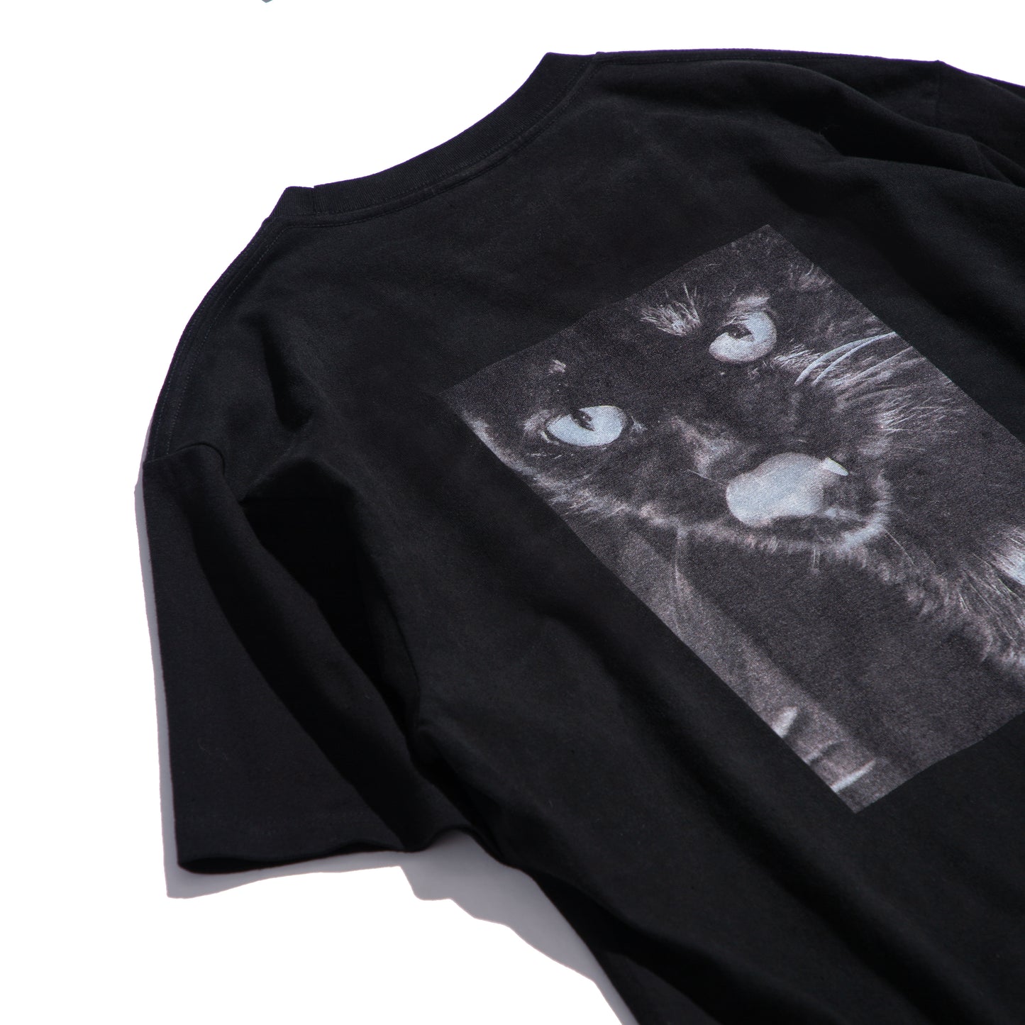 Photo Print S/S Big Tee | A Homeless Cat