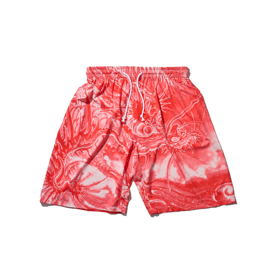 GRS x Dust Wu Overprint Shorts / AKA RYU