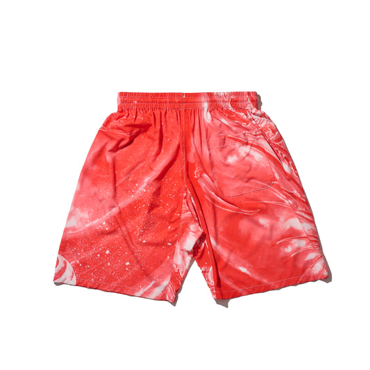 GRS x Dust Wu Overprint Shorts / AKA RYU