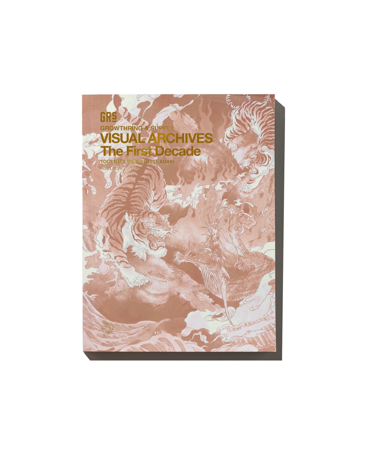 Visual Archives - The First Decade : Print Book