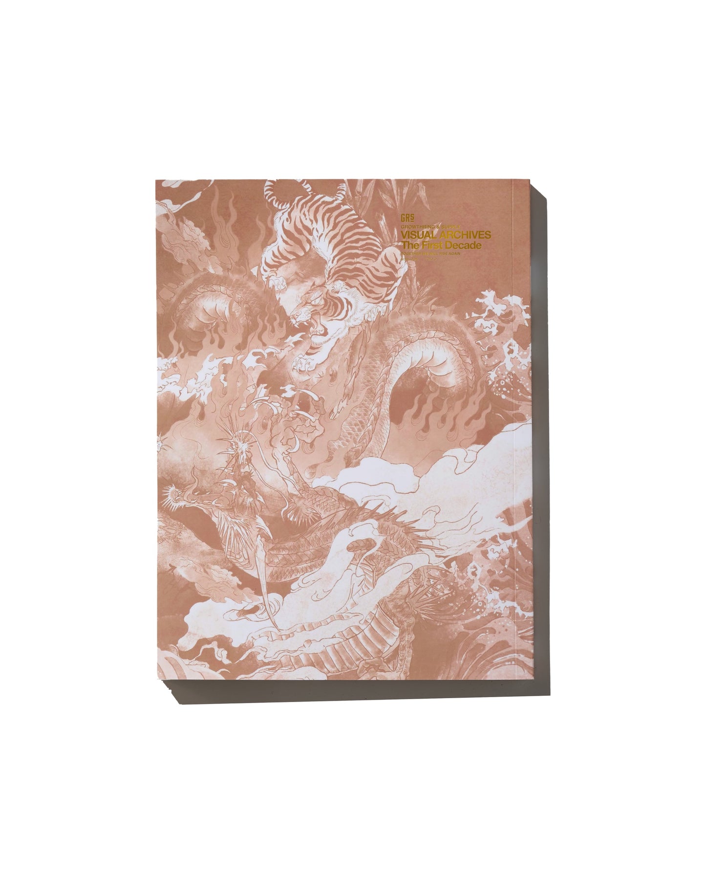 Visual Archives - The First Decade : Print Book