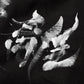 STD REVERSIBLE DRAGON JACQUARD 
FIREMAN HANTEN “DEFECT” / RYO UCHIYAMA EDITION