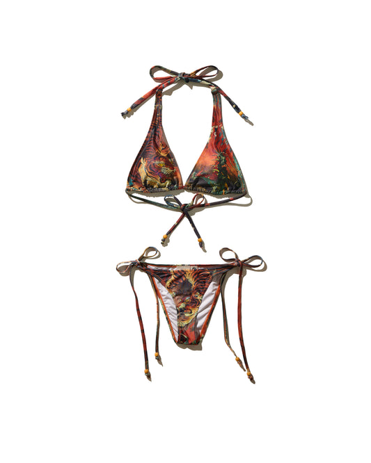 DOWNHILL TIGER & DRAGON BIKINI SET / ORIGIN