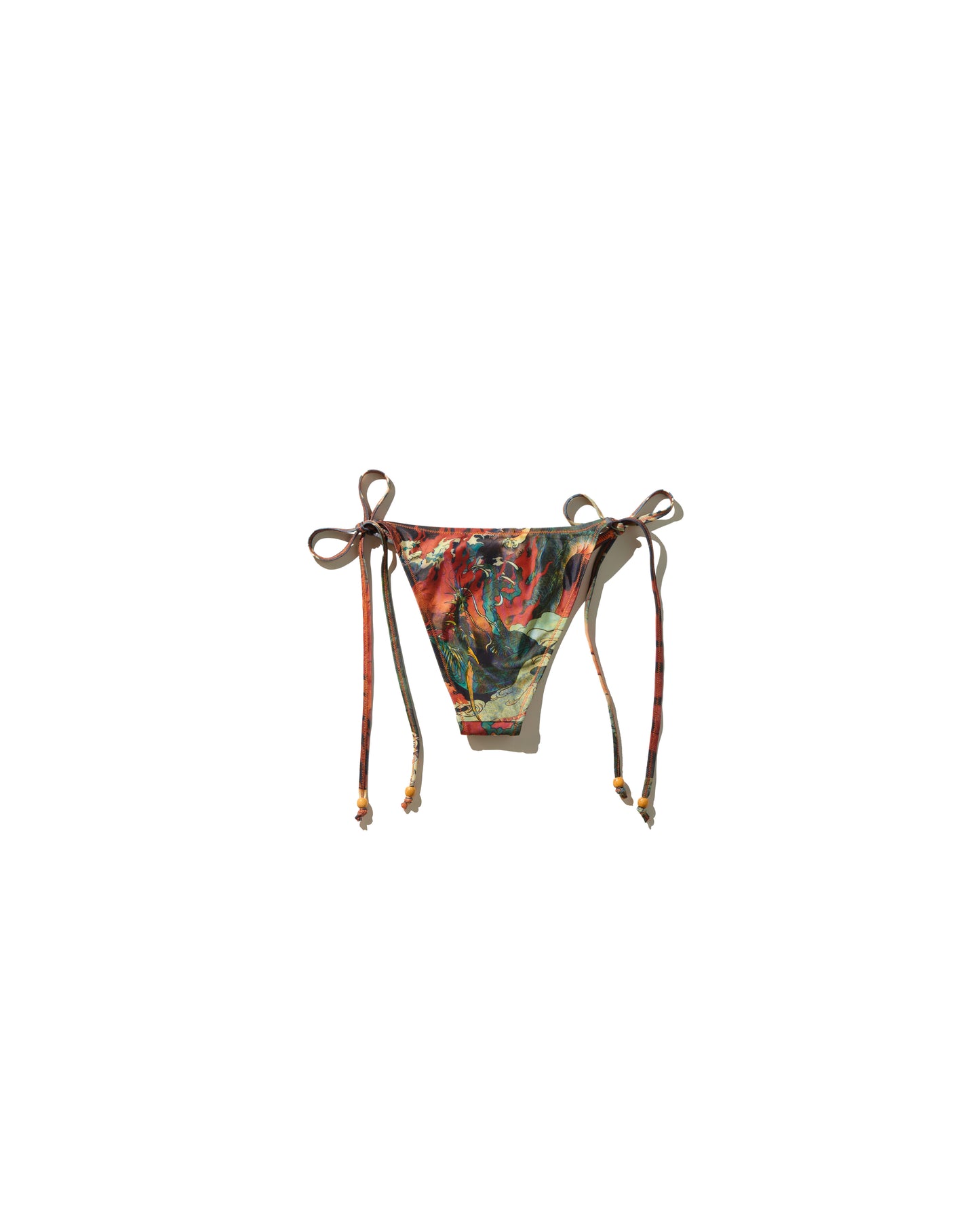 DOWNHILL TIGER & DRAGON BIKINI SET / ORIGIN
