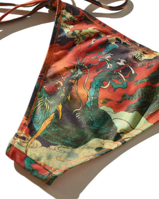 DOWNHILL TIGER & DRAGON BIKINI SET / ORIGIN