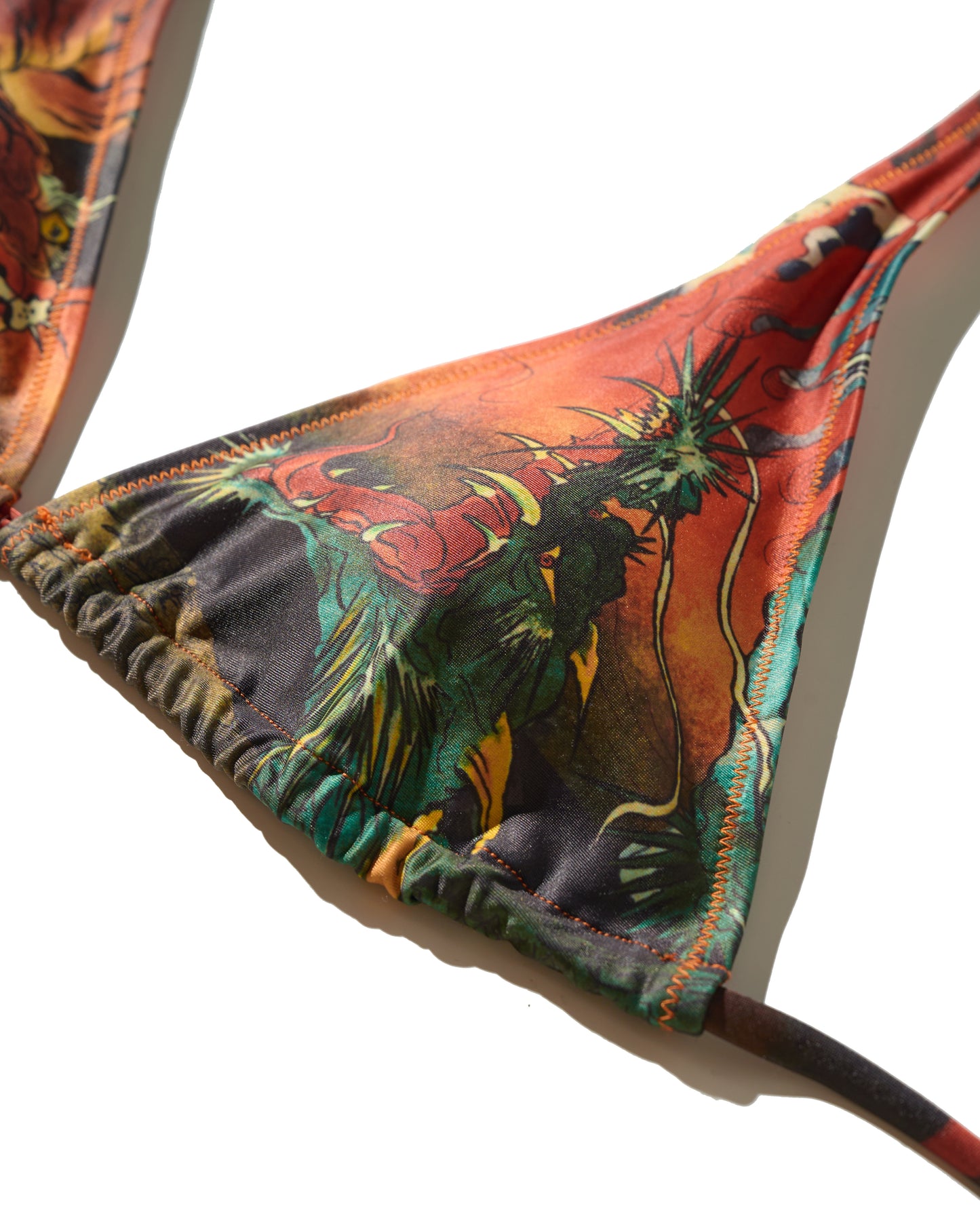 DOWNHILL TIGER & DRAGON BIKINI SET / ORIGIN